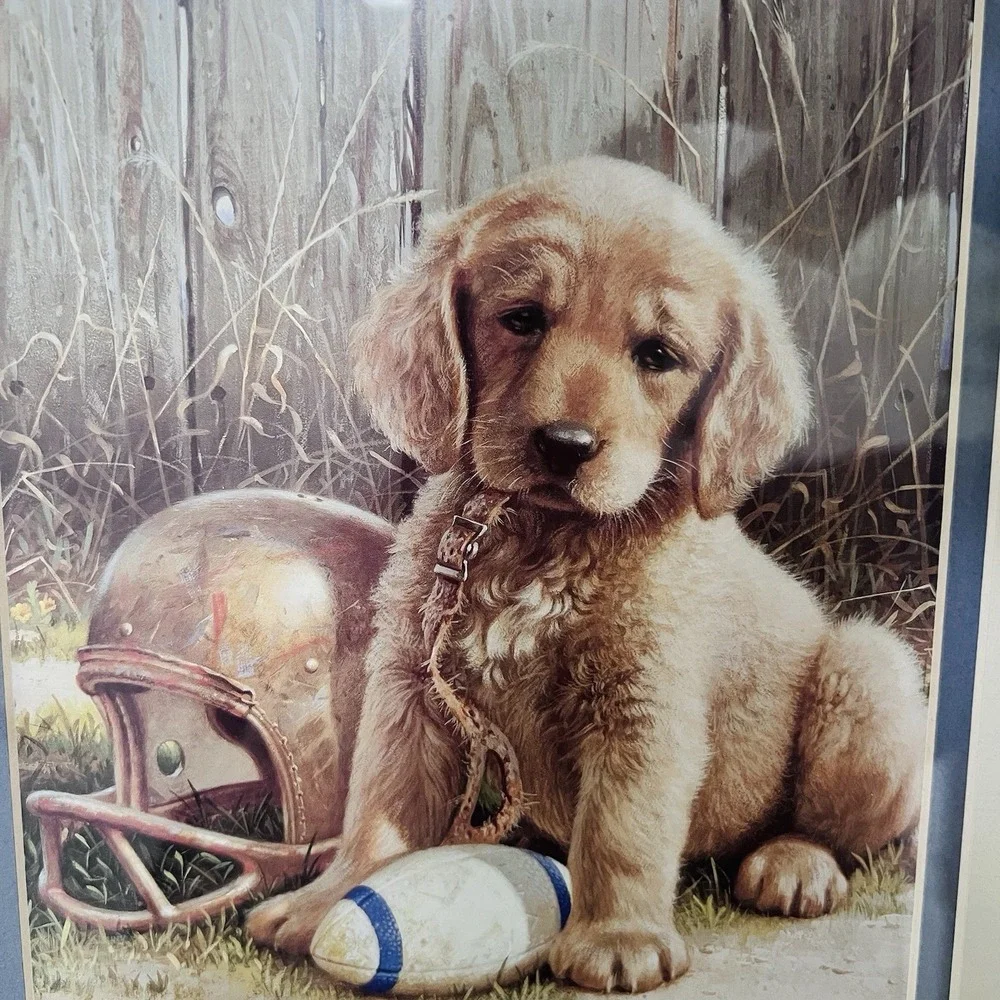 Jim Lamb Wide Retriever Framed Print Golden Retriever Puppy Football Dog Art